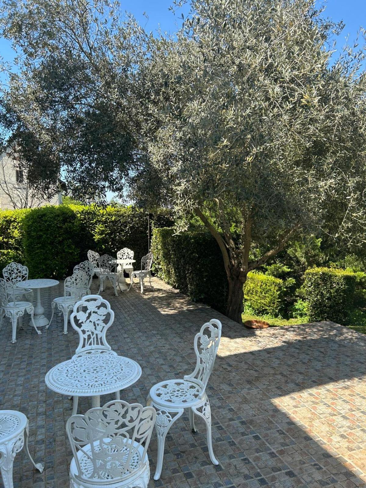 Logis Demeure De La Vignole Hotel Turquant Exterior foto