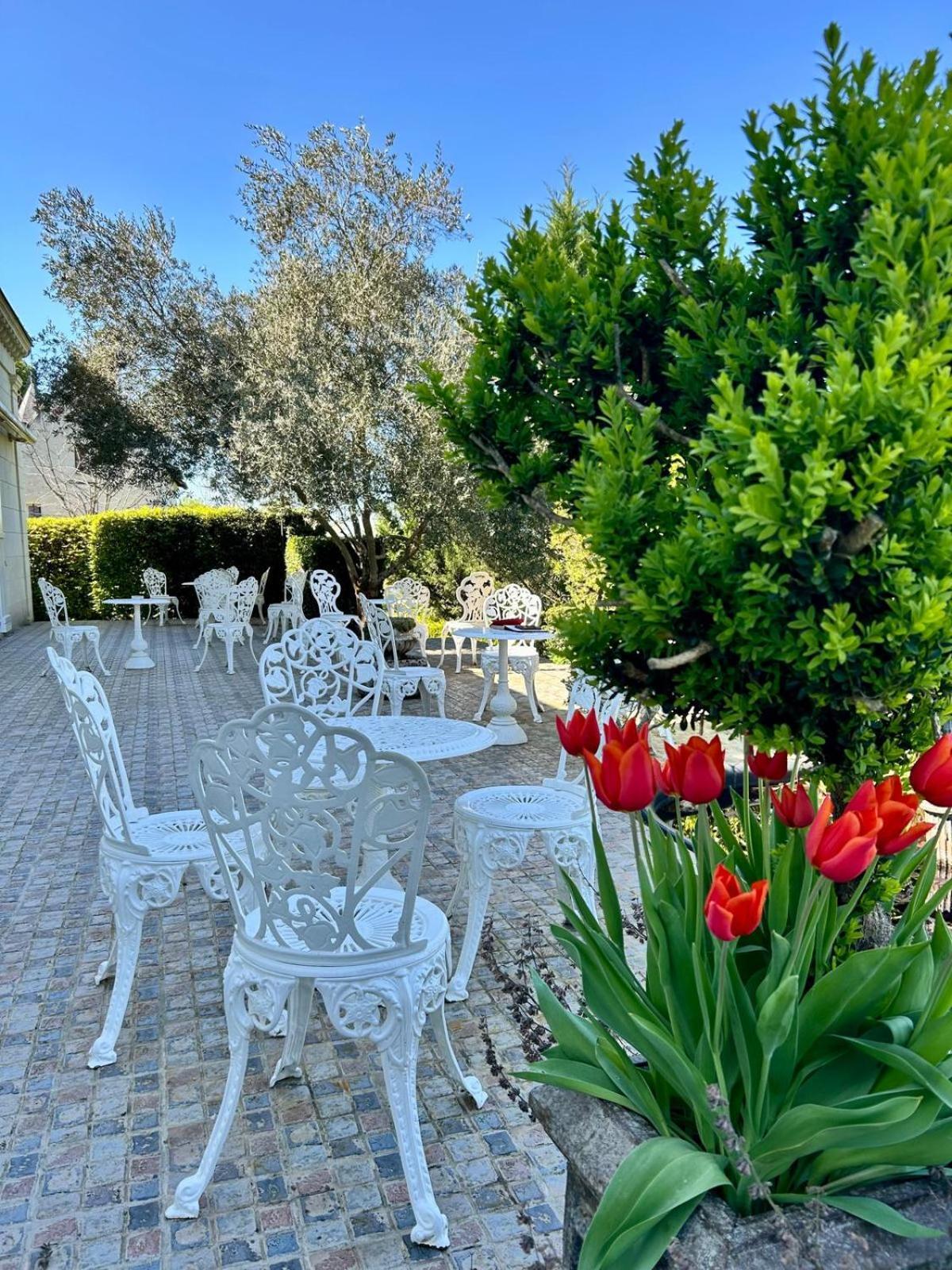 Logis Demeure De La Vignole Hotel Turquant Exterior foto
